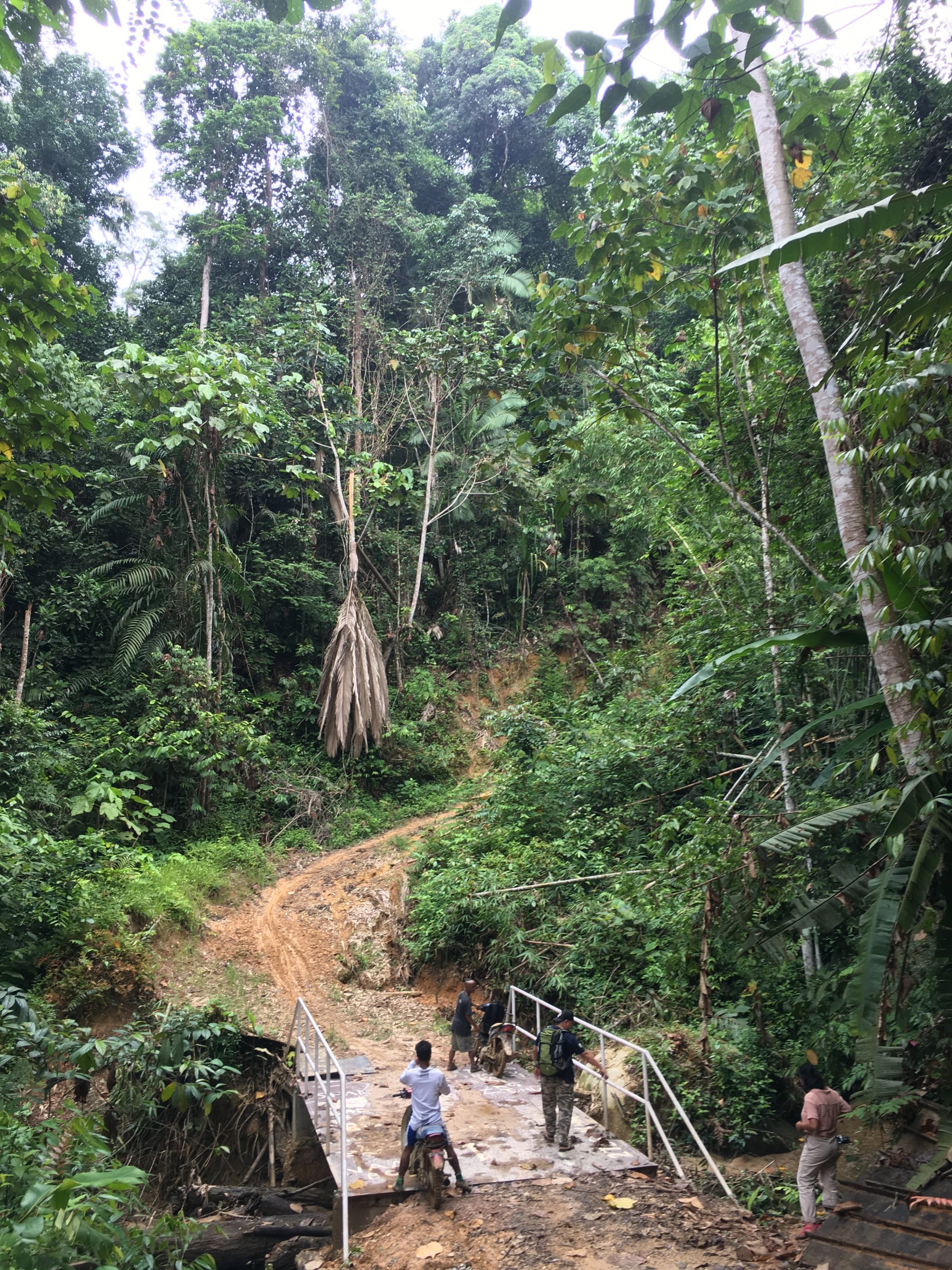 Jalan masuk menuju Kpg Ulu Tenlan